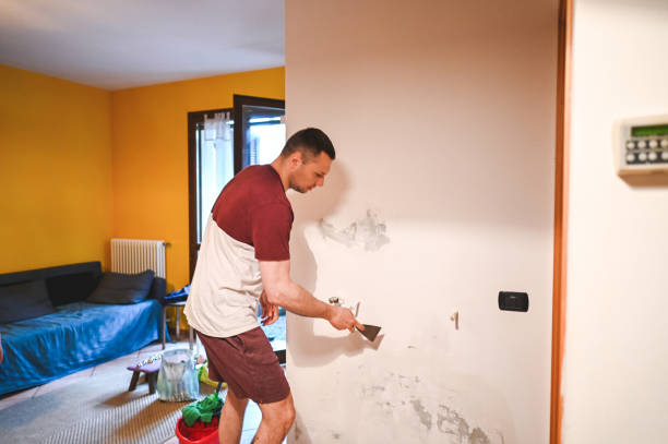 Best HVAC Mold Remediation in Lone Pine, CA